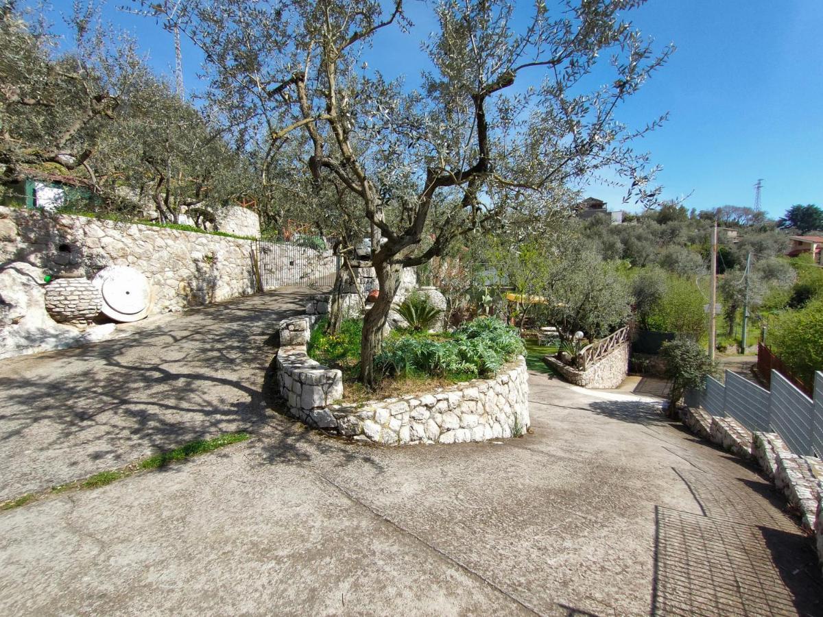 Holiday home Cynara House *