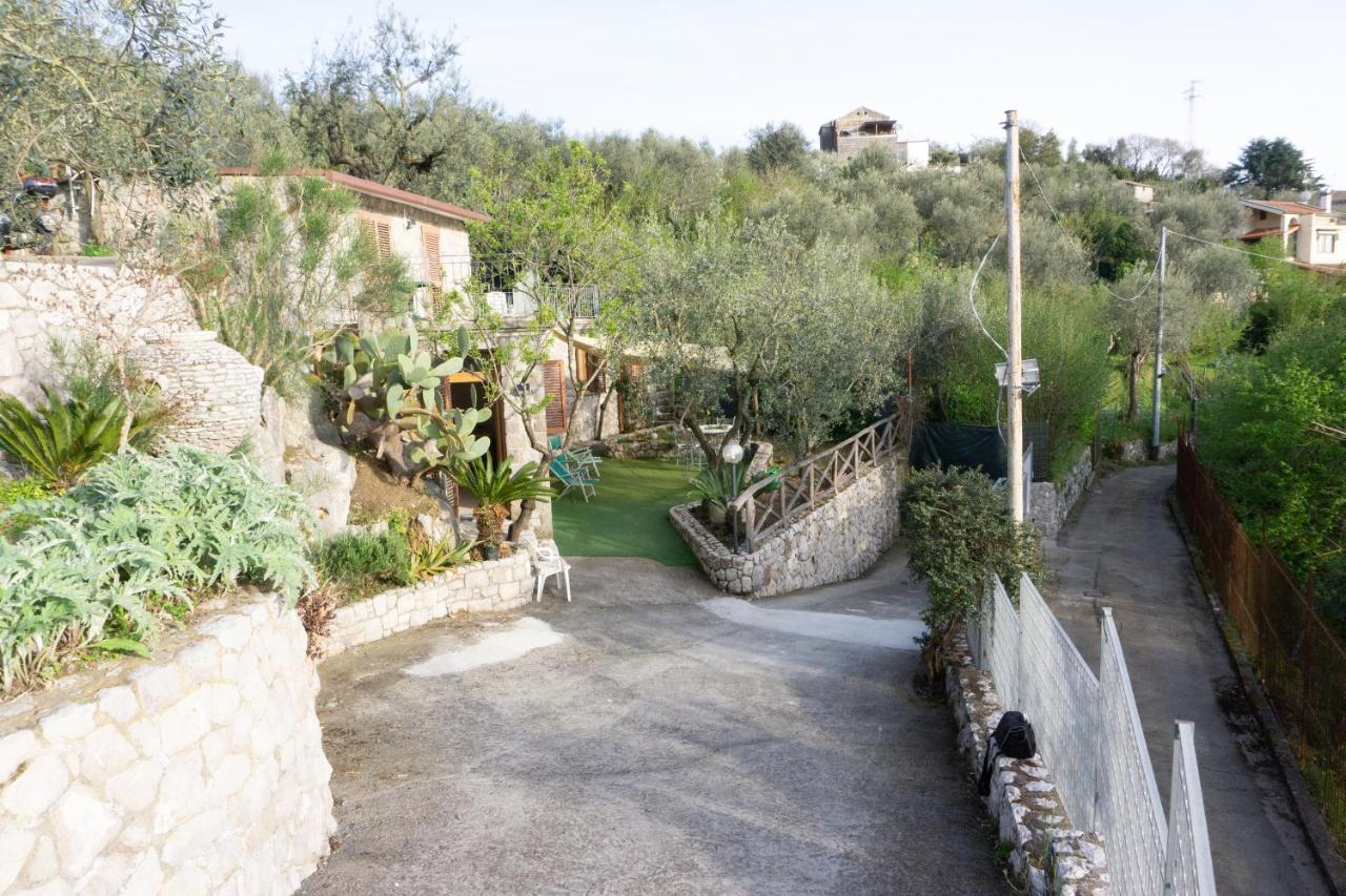 Cynara House Holiday home Massa Lubrense