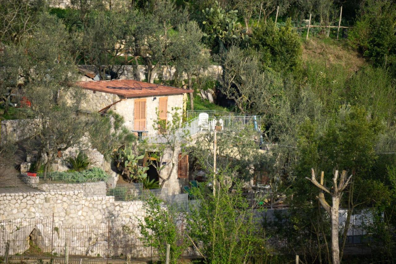 Cynara House Holiday home