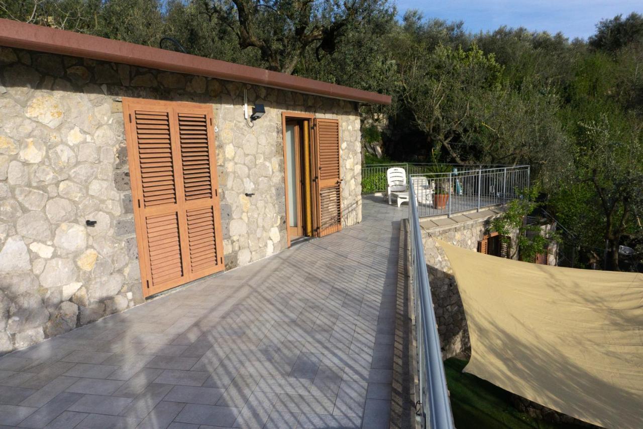 Cynara House *