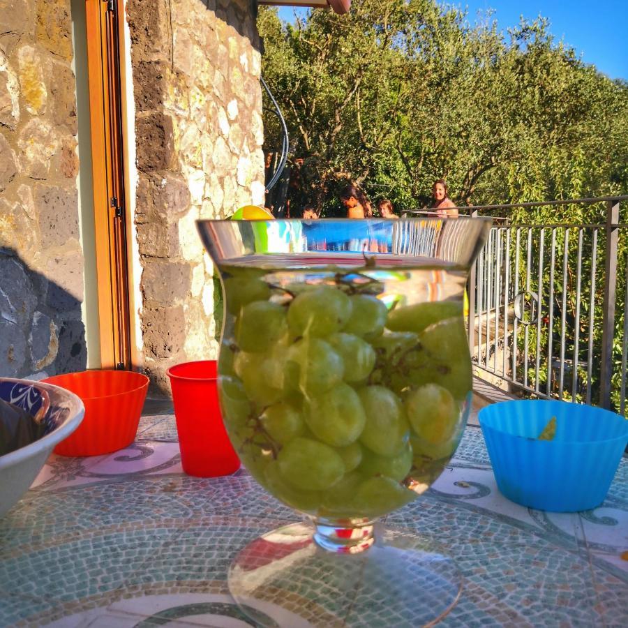 Holiday home Cynara House Massa Lubrense