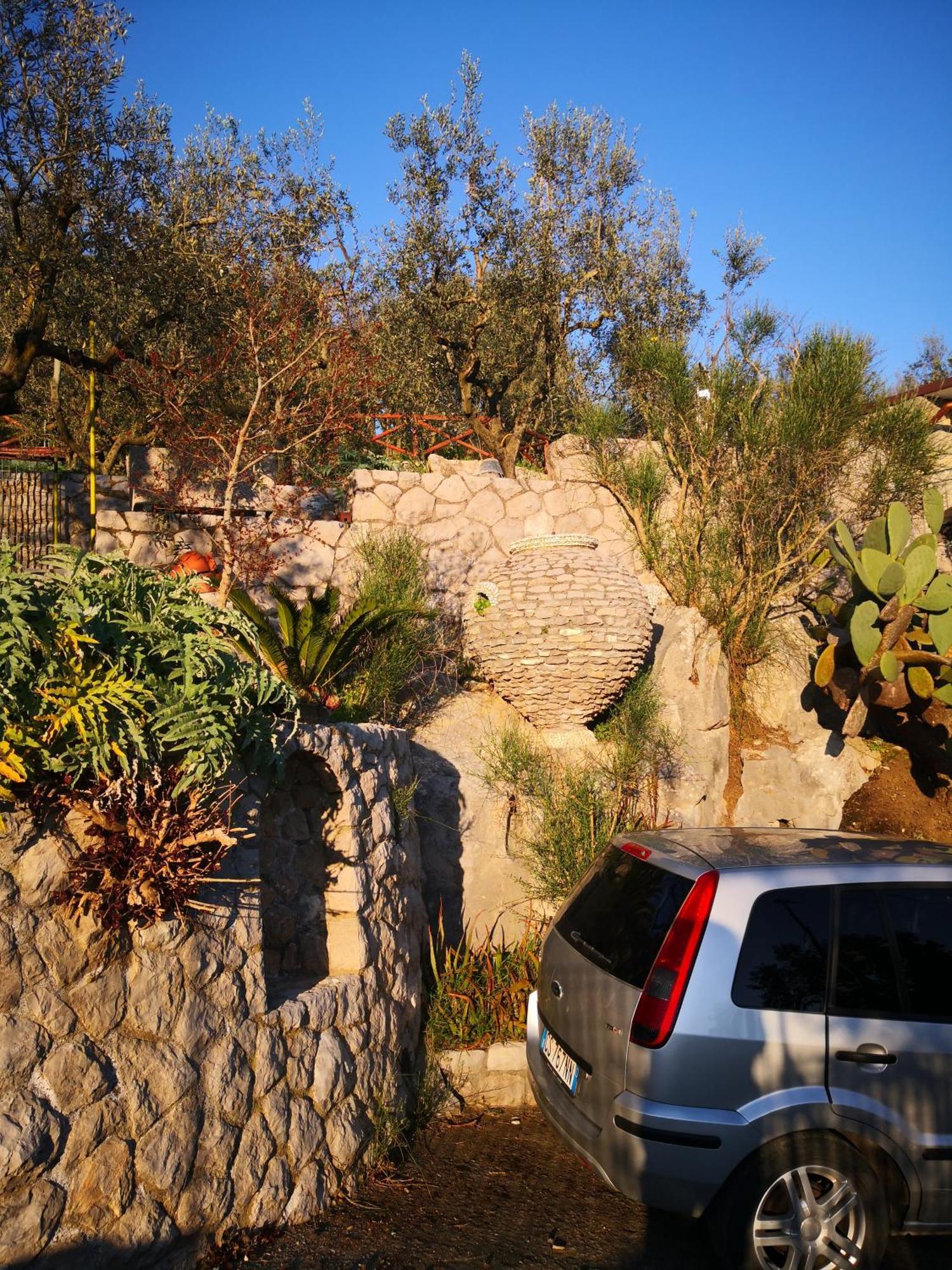 Cynara House